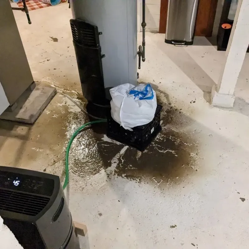 Sewage Backup Cleanup Service in Schley County, GA